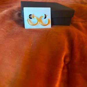Sarah Briggs - Goldie Box - NWT - Anderson mini hoop earrings.